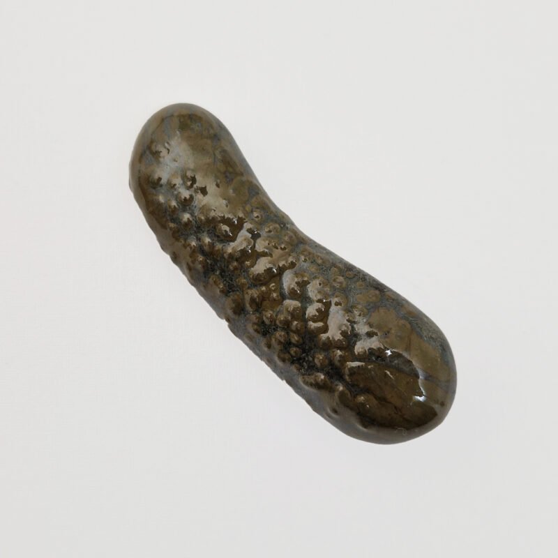 ceramic pickle brooch